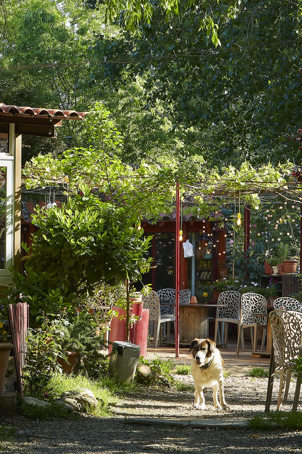 Casa Rural Mas Torrencito